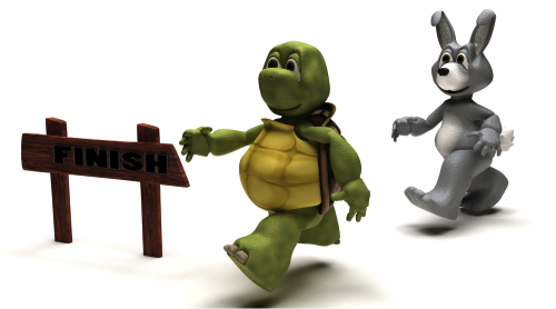 Do You Run Your Sales Process Like The Tortoise or Hare?
