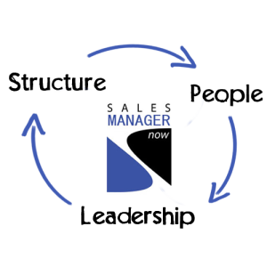 Sales Strategy in Management